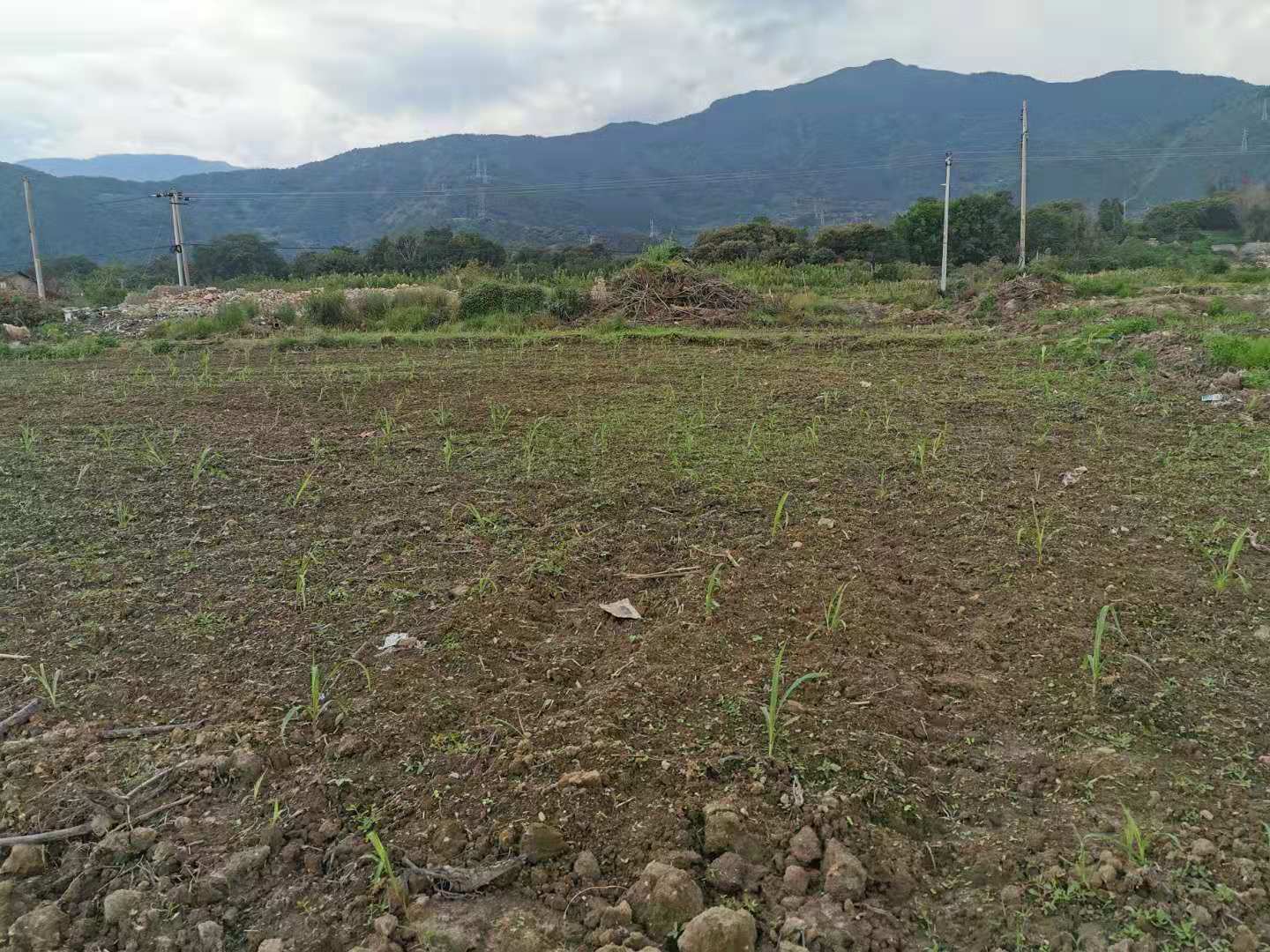 涼山州 基地圖片